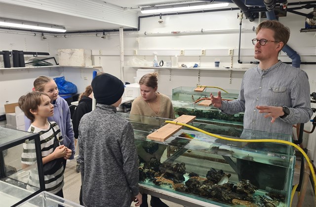 Vettvangsferð 7.bekkjar