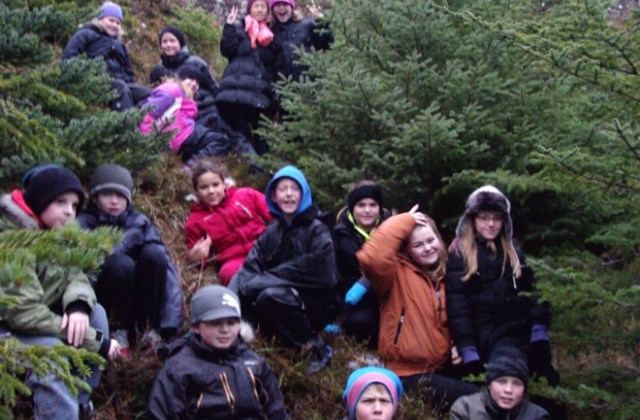 Skógarferð á aðventu