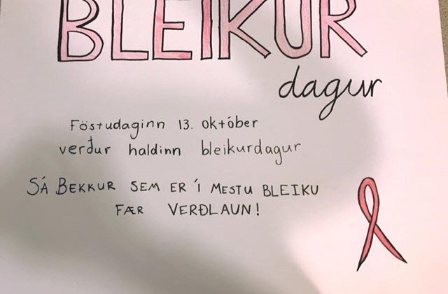Bleiki dagurinn 13. okt