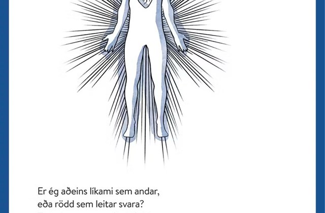 Fernuflug mjólkursamsölunnar
