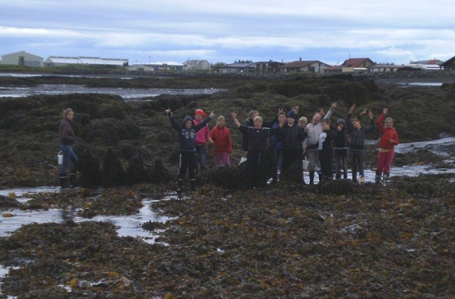 Fjöruferð 7. bekkjar - lifandi náttúrufræðsla