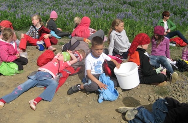 Yngstu börnin græða upp Stapann