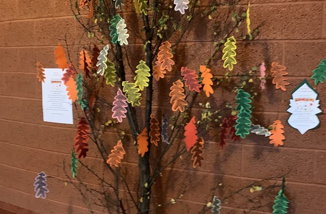 Bókasafnið og börnin