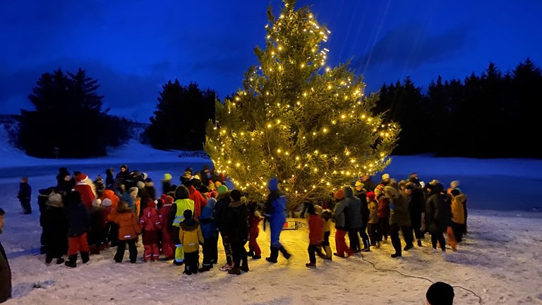 Jólaljósin tendruð á jólatré í Aragerði