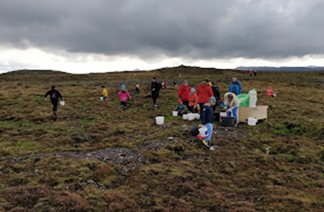Landgræðslustarf Stóru-Vogaskóla
